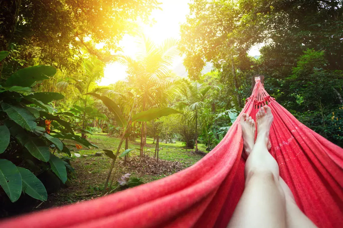 O descanso é importante na recuperação da mialgia, quando a dor melhorar procure fazer exercícios leves de alongamento